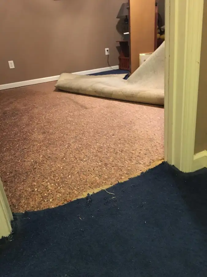 Carpet pad removal revealing water damage during Drying & Dehumidification in Carterville