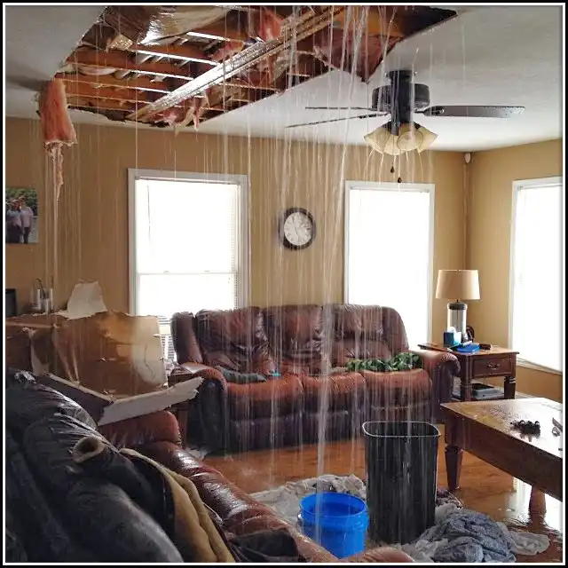 Water Damage Restoration services in Carterville, IL