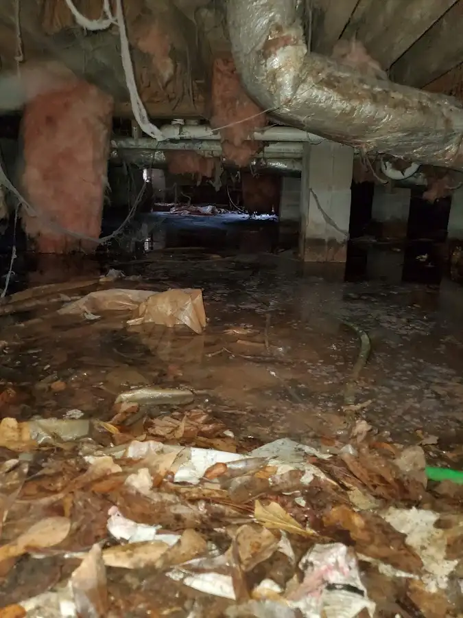 Crawl space flood assessment for Commercial Water Damage Restoration in Carterville