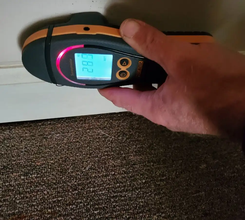 Moisture detection at baseboard during Mold Inspection & Testing in Carterville